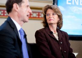 Murkowski.Wyden.EnSum